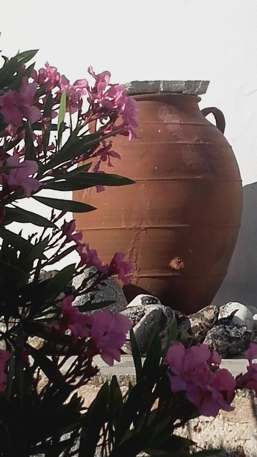 The Windmill Serifos 外观 照片